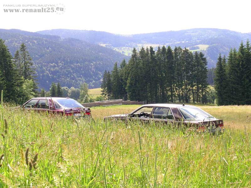 Buszujące w trawie