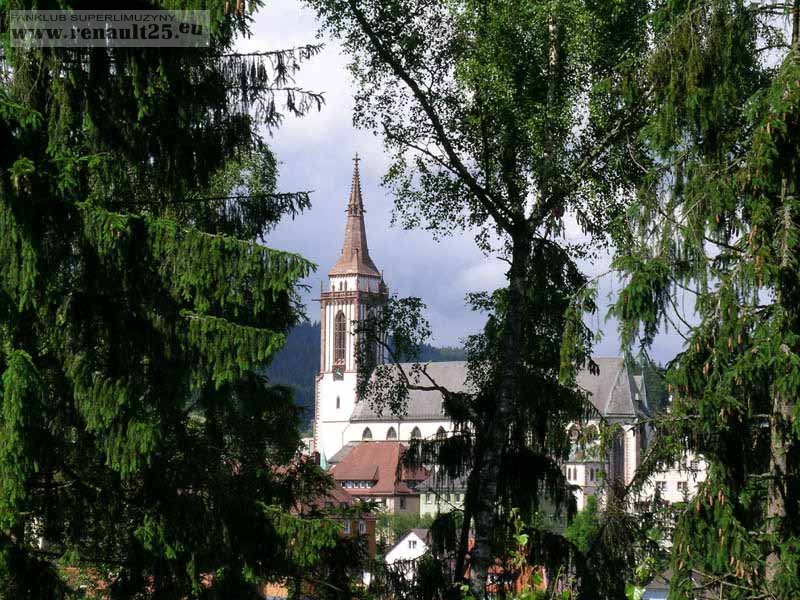 Szwarcwald z okna Reni