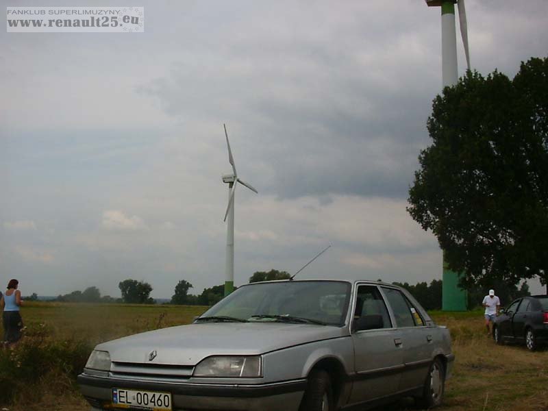 Renia po holendersku