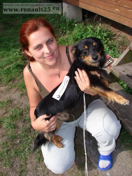 "grzesiek" tez ma naklejke zlotowa!