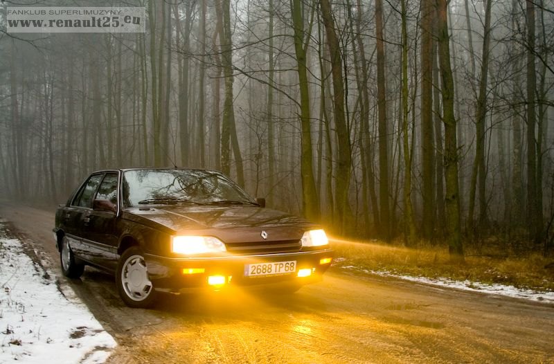 Francuzeczka we mgle