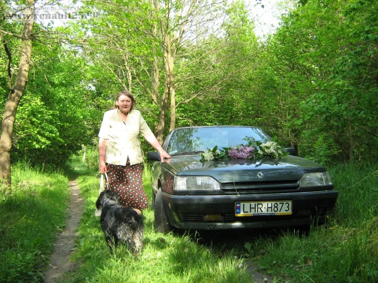 dzisiejsza wyprawa do lasu