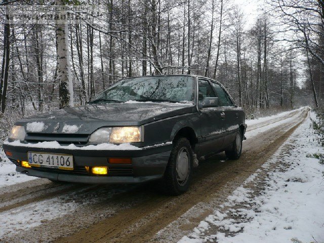 zima
