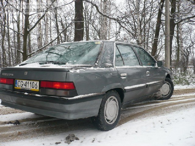 Zima