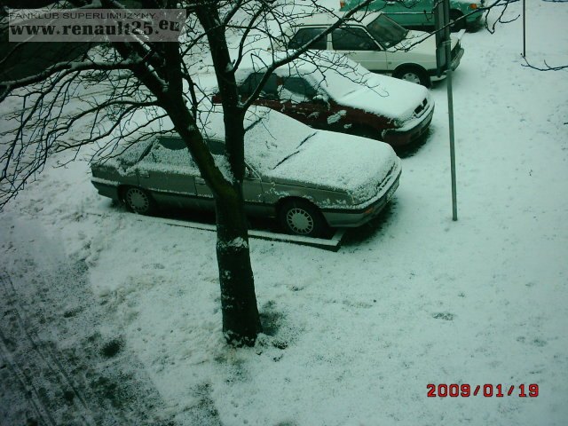 Zimowy"mlaszczyk"