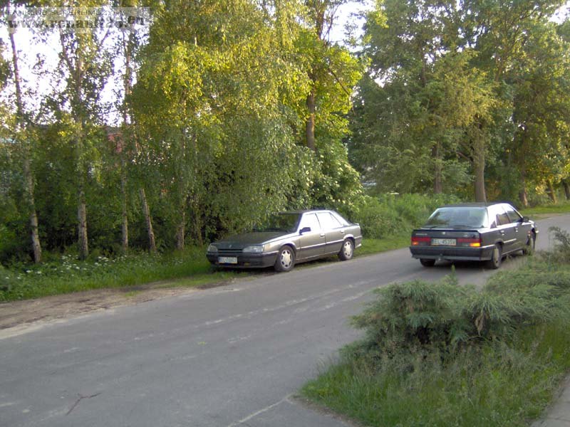 zielono mi