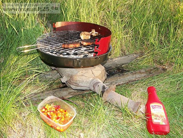 Martwa natura z renią w tle