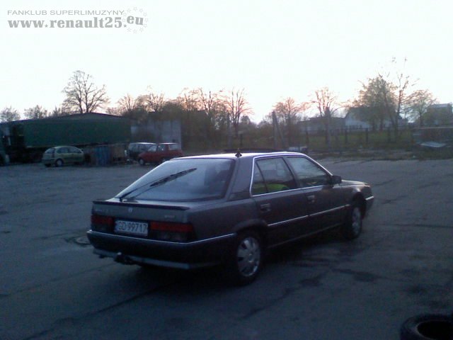 Renia w tle zachodzacego slońca