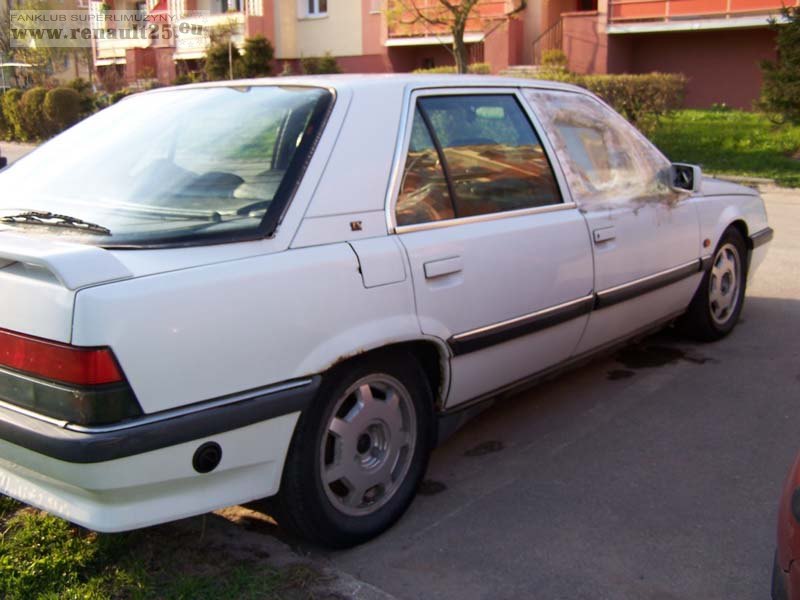 Biała z Elbląga