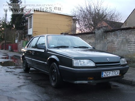 CZYŚCIUTKA RENATKA